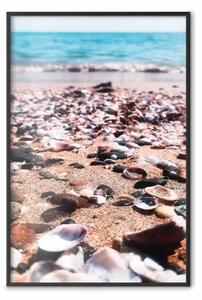 Poster: Spiaggia estiva - foto di conchiglie sulla riva di un mare blu