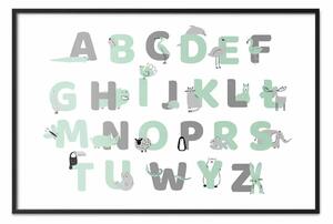Poster: Alfabeto polacco per bambini - lettere grigie e menta con animali