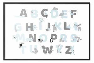 Poster: Alfabeto polacco per bambini - lettere grigie e blu con animali