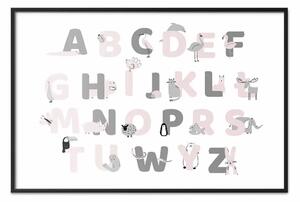 Poster: Alfabeto polacco per bambini - lettere grigie e rosa con animali