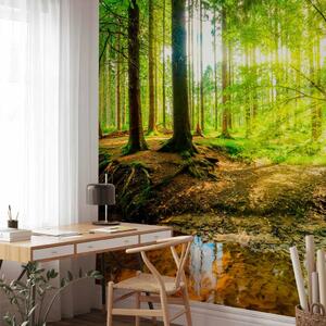 Carta da parati moderna Foresta e lago - paesaggio con vista sul verde naturale