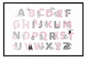 Poster: Alfabeto inglese per bambini - lettere grigie e rosa con animali