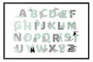 Poster: Alfabeto inglese per bambini - lettere grigie e menta con animali