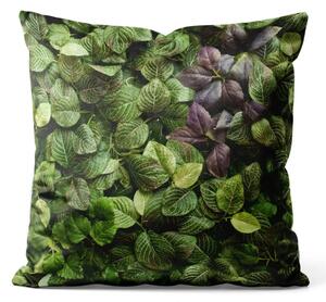 Cuscino in velluto Lush greenery - vegetazione dettagliata