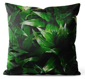 Cuscino in velluto Oasi di dracena - composizione floreale ricca di dettagli