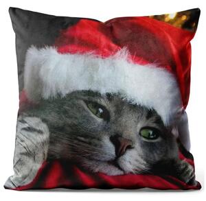 Cuscino in velluto Gatto con cappello di Babbo Natale - animale natalizio su sfondo scuro
