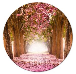 Quadro rotondo Vicolo della foresta - foto di alberi con foglie rosa