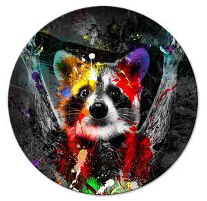 Quadro rotondo Procione - un simpatico animale dai colori vivaci su sfondo nero