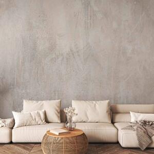 Carta da parati Peace of mind - sfondo grigio in stile moderno con foglie sullo sfondo