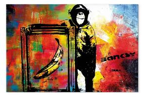 Quadro moderno Scimmia banana - murale Banksy sfondo colorato
