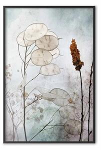 Poster: Frutti di lunaria