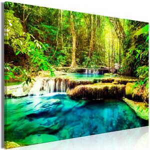 Gioiello della natura - giungla e paesaggio tropicale con bellissimo specchio d'acqua tra gli alberi