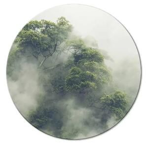 Quadro rotondo Al mattino - albero nella nebbia