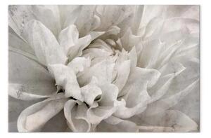 Quadro moderno Fiore di marmo - petali chiari su sfondo bianco