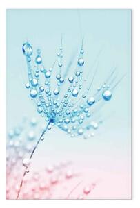 Quadro contemporaneo Dente di leone - pianta dai colori blu con gocce di rugiada