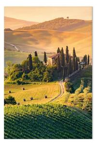 Quadro Campi assolati della Toscana - fotografia di paesaggio al tramonto
