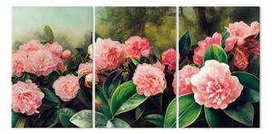 Quadro contemporaneo Camelie del tè - fiori colorati in piena fioritura