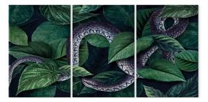Quadro moderno Serpente tra le foglie - fauna e flora di una giungla oscura