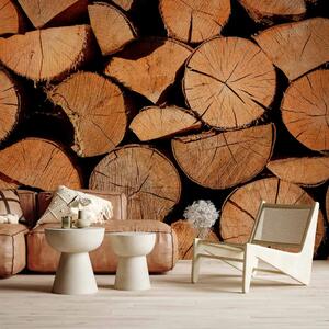 Carta da parati Legno grezzo - mucchio di alberi abbattuti con crepe visibili