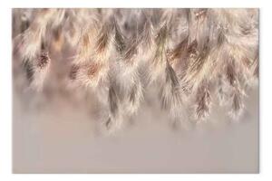 Quadro contemporaneo Collezioni d'oro - spighe di grano visibili al sole su sfondo grigio
