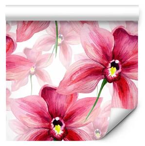 Tappezzerie Fiore acquerellato - orchidea rosa scuro su sfondo bianco