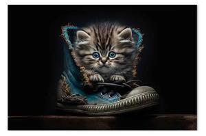 Quadro contemporaneo AI gatto maine coon - occhi azzurri, scarpa, orizzontale