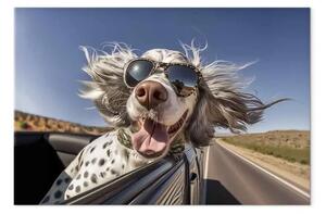 Quadro su tela AI cane setter inglese - con occhiali in auto - orizzontale