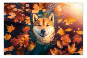 Quadro AI cane shiba - ritratto amichevole in clima autunnale - orizzontale