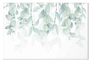 Quadro su tela Vegetazione pastello - foglie verdi su ramoscelli su sfondo bianco