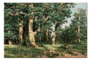 Riproduzione Ivan Ivanovich - Oak grove