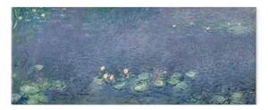 Riproduzione Claude Monet - Water Lilies (Water Lilies) III
