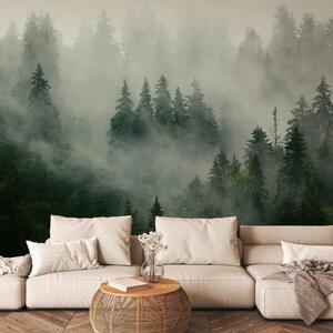 Carta da parati Foresta di conifere - paesaggio montano con alberi immersi nella nebbia
