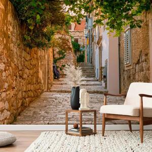 Carta da parati Una strada affascinante di Dubrovnik - via vecchia con case