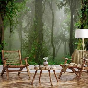 Carta da parati moderna Giungla in Nepal - foresta tropicale con vegetazione verde e nebbia