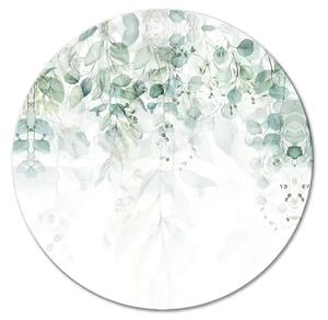 Quadro rotondo Cascata di verde - delicati rami pieni di foglie su sfondo bianco