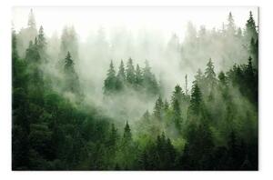 Quadro contemporaneo Foresta montagna - alberi nebbia