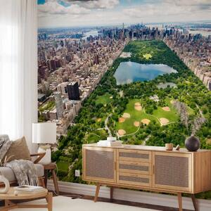 Carta da parati Central Park - parco di New York tra grattacieli