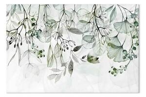 Quadro Natura ad acquerello - foglie verdi, fiori e frutti su sfondo bianco