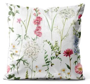 Cuscino in velluto Piante del prato - composizione colorata con flora senza pretese