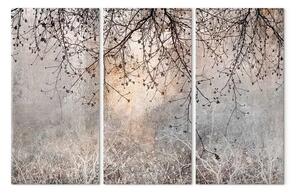 Quadro contemporaneo Mattina - alba su uno sfondo di rami delicati con fiori