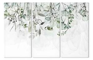 Quadro su tela Natura ad acquerello - foglie e fiori verdi su sfondo bianco