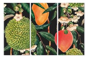 Quadro moderno Frutti esotici - composizione colorata di vegetazione tropicale