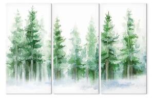 Quadro moderno Alberi acquerello - abeti bianco verdi