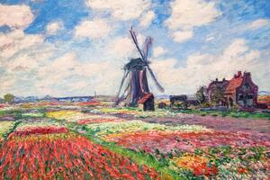 Riproduzione Tulip Fields with the Rijnsburg Windmill 1886, Claude Monet