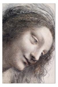 Quadro famoso Leonardo da Vinci - La Testa della Vergine