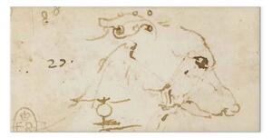 Riproduzione Leonardo da Vinci - Schizzo della testa di un cane