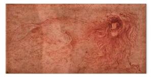 Quadro famoso Leonardo da Vinci - Schizzo di un leone