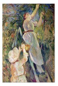 Riproduzione Berthe Morisot - Il raccoglitore di ciliegie