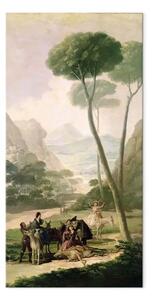 Riproduzione quadro Francisco Goya - La caduta o l'incidente