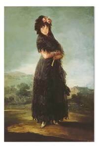 Riproduzione quadro Francisco Goya - Mariana Waldstein